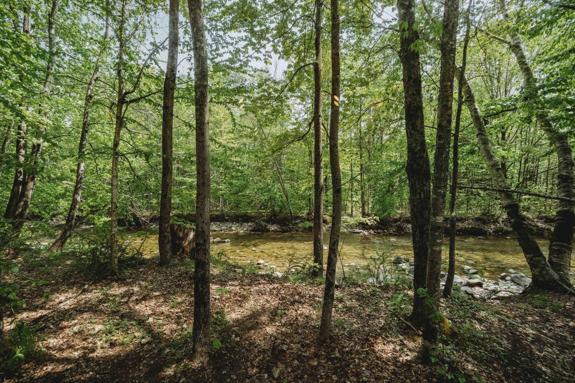 Lumen Nature Retreat Woodstock Pokoj fotografie